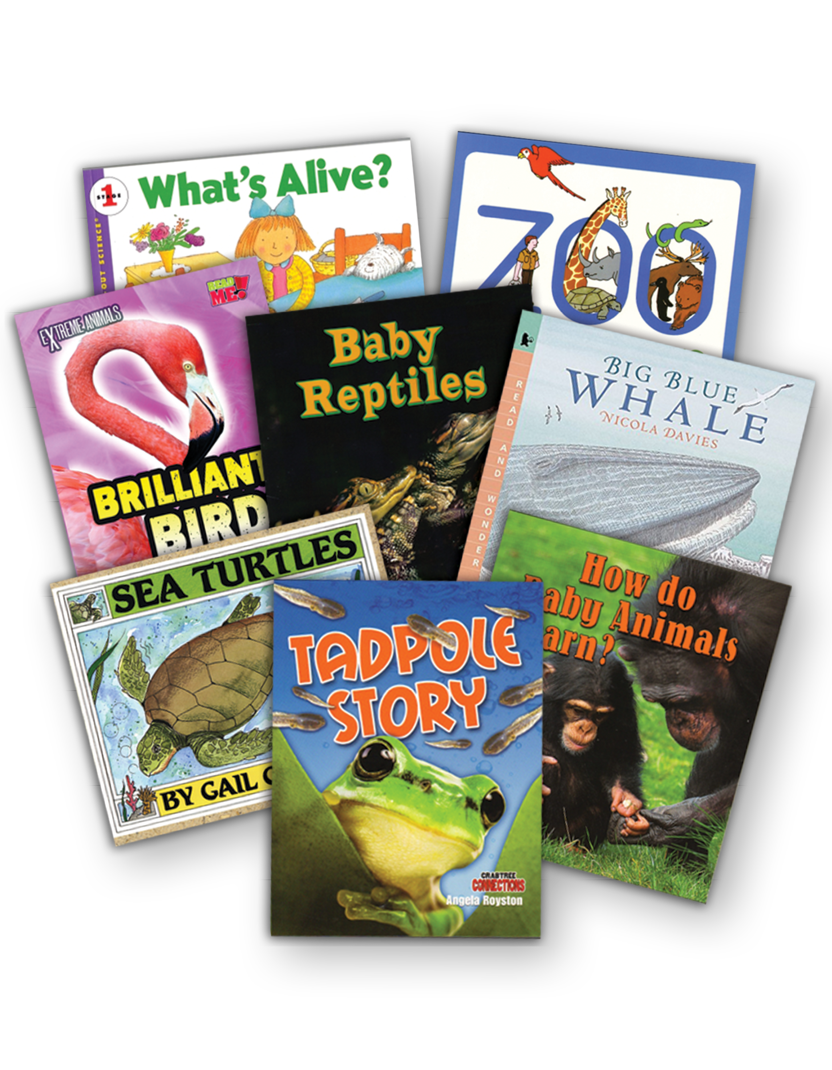 Interactive Read-Aloud